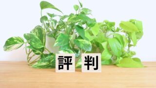 オーディブルの評判・口コミ｜3年使用体験で分かったメリット・デメリット 